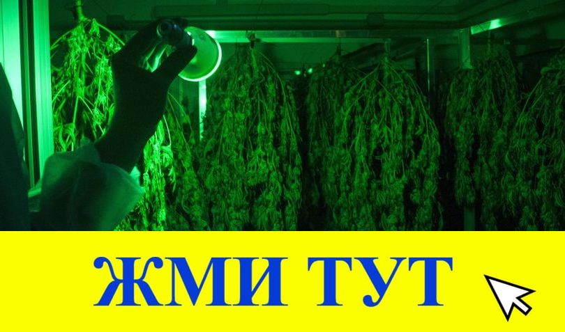 Купить наркотики в Тутаеве